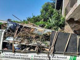 Best Dumpster Rental Services  in Morton, IL