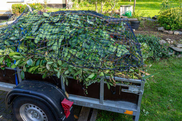 Best Recycling Services for Junk  in Morton, IL